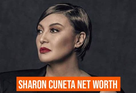 sharon cuneta net worth 2022.